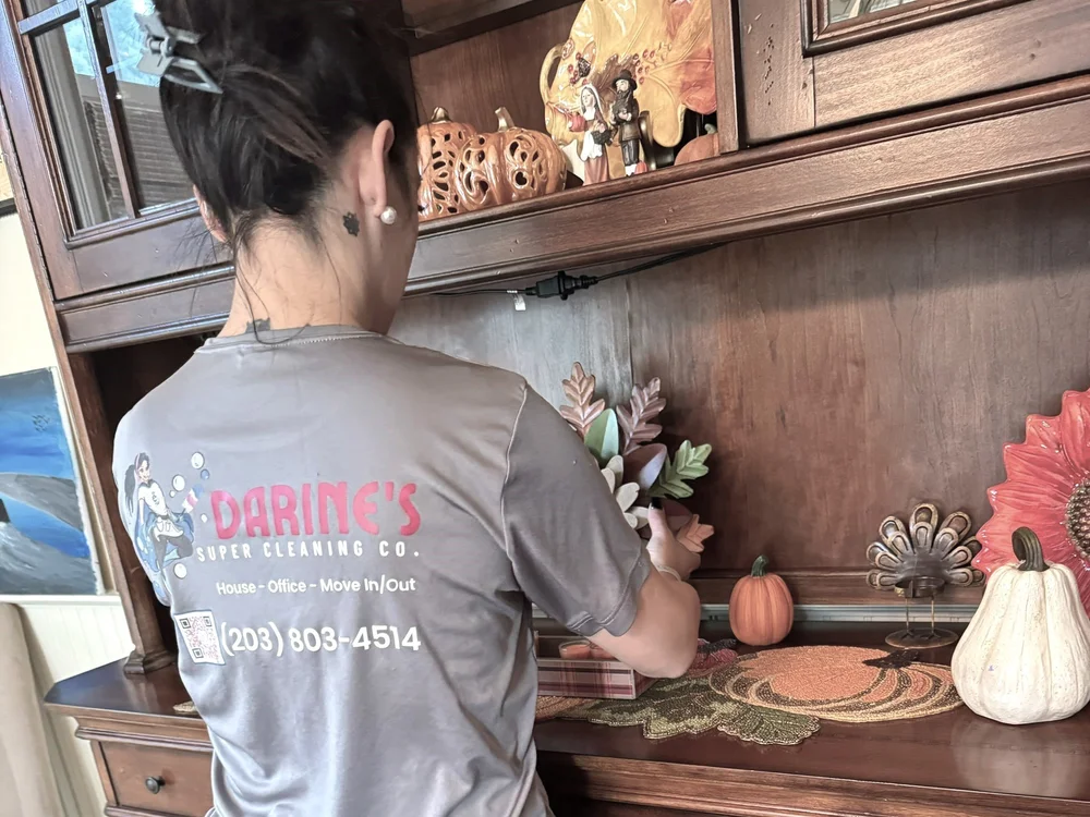 Darine's Super Cleaning professional