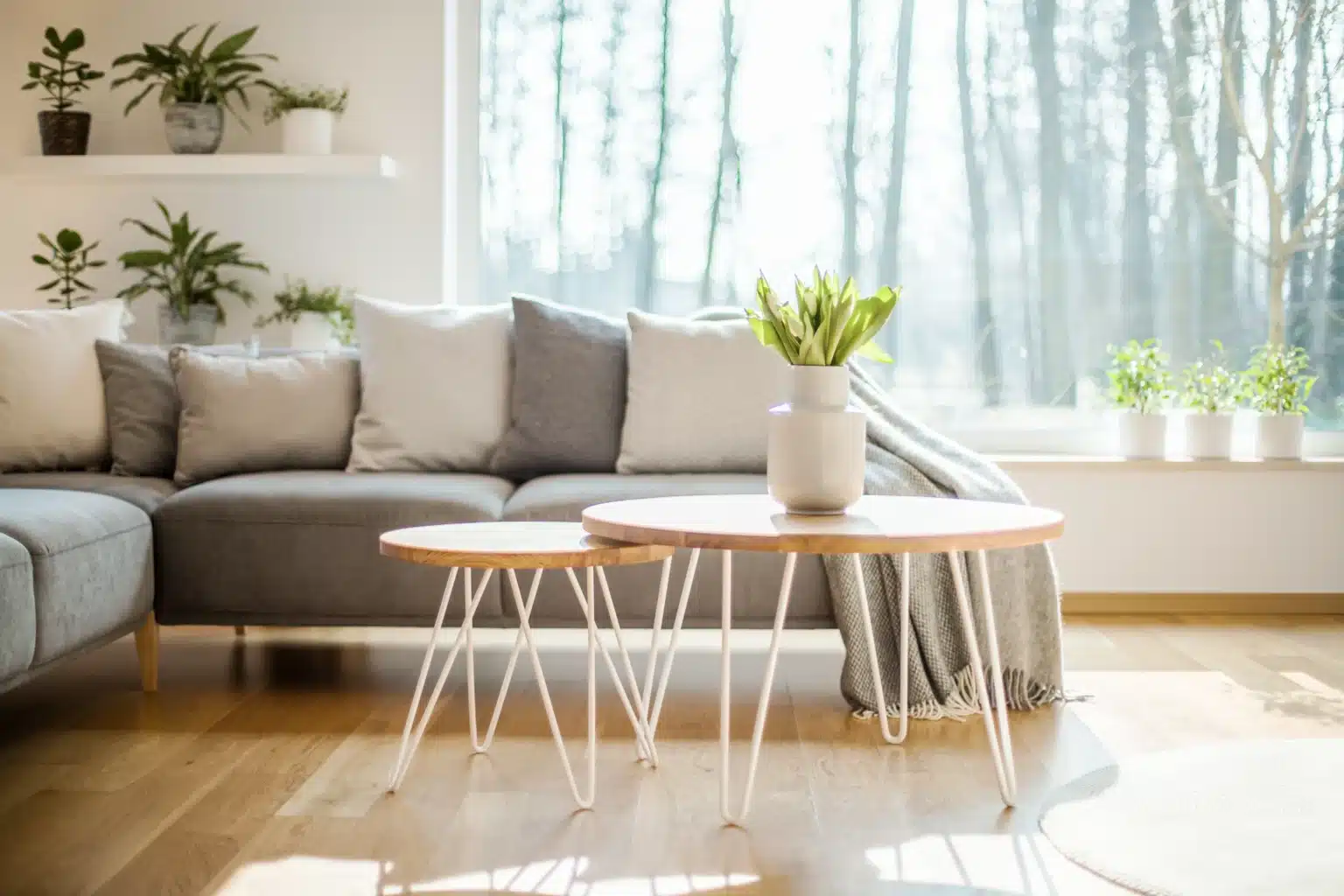 Clean cozy living space with organized interior and comfortable seating