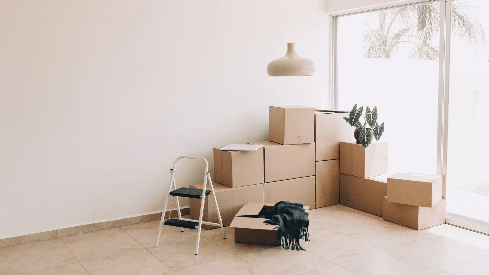Move-in/move-out Cleaning